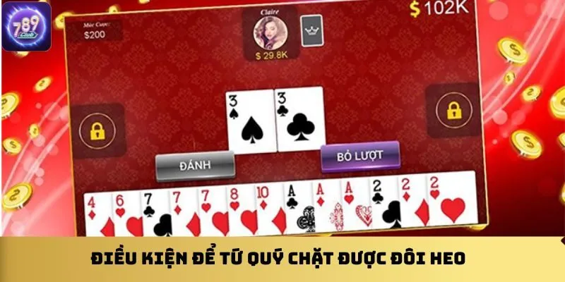 dieu-kien-de-tu-quy-chat-duoc-doi-heo